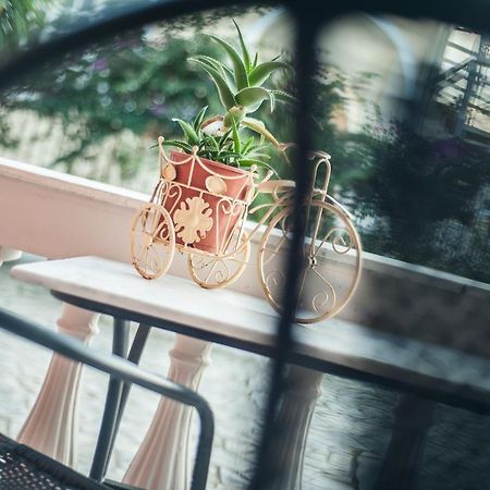 Zante Nest Studios & Apartments Alykanas  Dış mekan fotoğraf