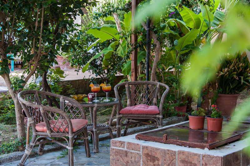 Zante Nest Studios & Apartments Alykanas  Dış mekan fotoğraf